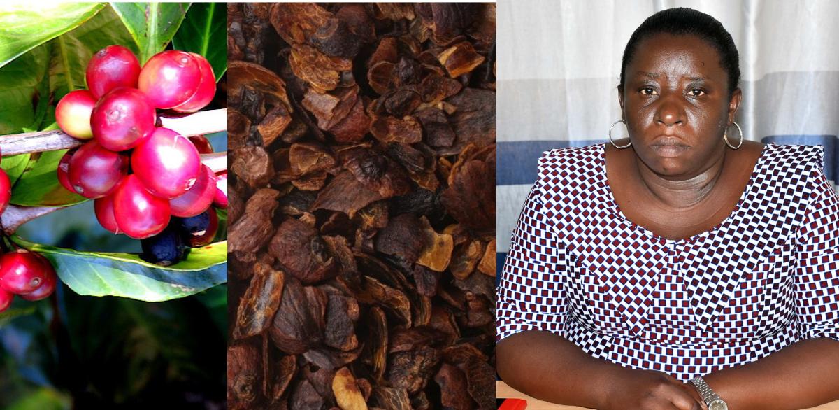 Mukarunyana, a University of Rwanda academic and PhD candidate at Umeå University in Sweden under the existing bilateral research partnership btn Rwanda and Sweden.jpg.jpeg